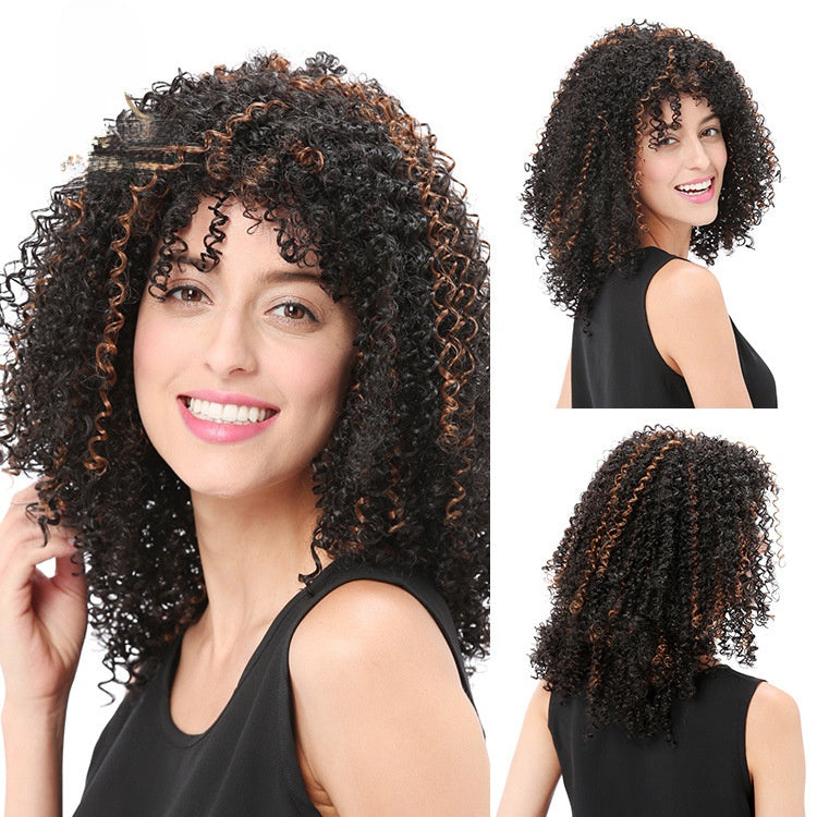 wigsupplier Brown and Black Explosive Hair Wig
