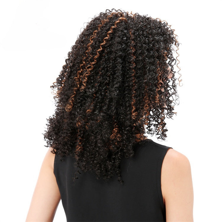 wigsupplier Brown and Black Explosive Hair Wig