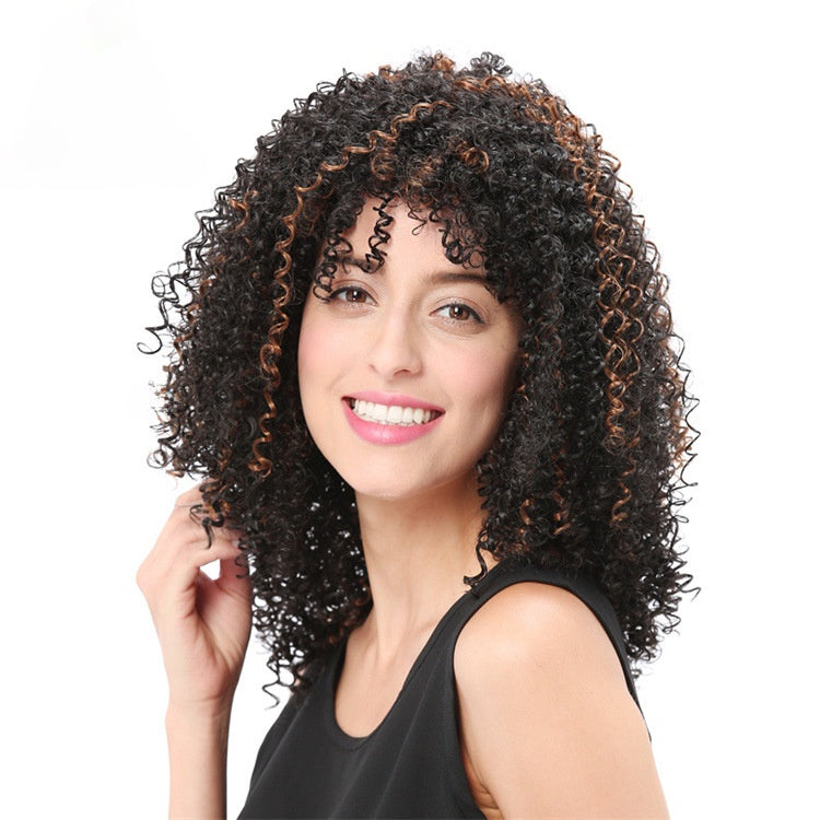 wigsupplier Brown and Black Explosive Hair Wig