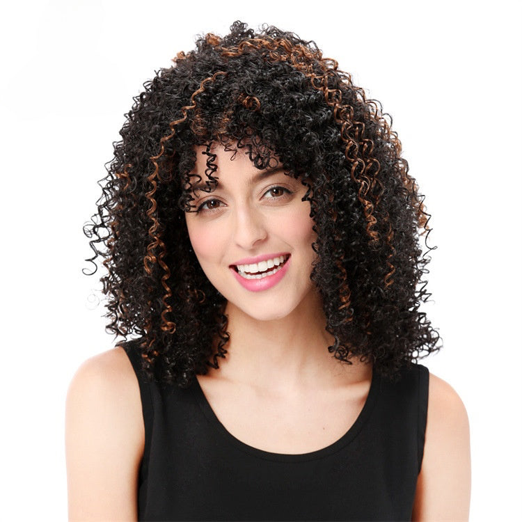 wigsupplier Brown and Black Explosive Hair Wig