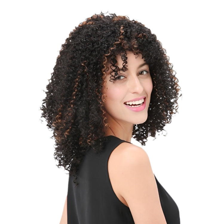 wigsupplier Brown and Black Explosive Hair Wig